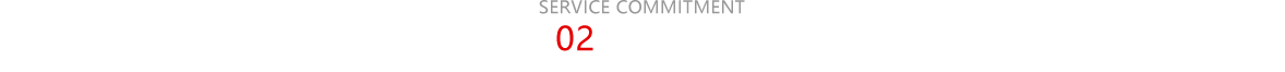 (w)Z